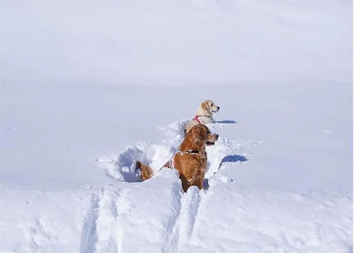 Hoefer By Interhome Schroecken